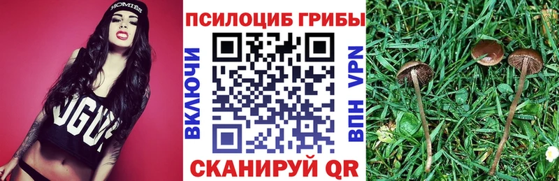 Псилоцибиновые грибы мухоморы  магазин  наркотиков  Заволжье 