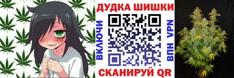 дарнет шоп Заволжье Бошки марихуана Bruce Banner
